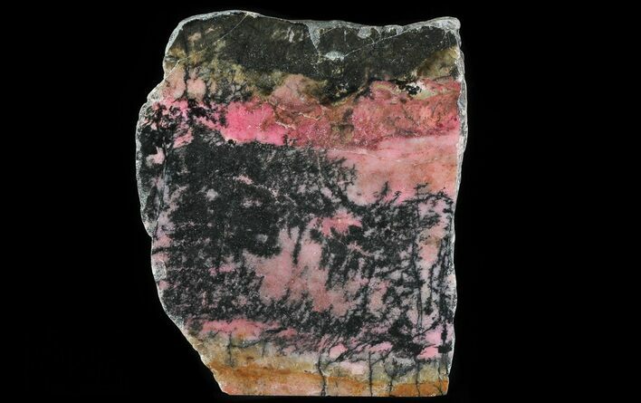 Polished Rhodonite Section (Free-Standing) - Australia #64793